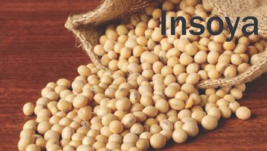 Insoya