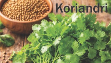Koriandri