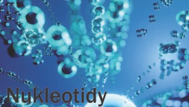 Nukleotidy
