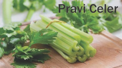 Pravi Celer